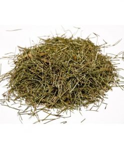 Alternative view of Πολύκομπο (Εκουϊζέτο) Βιολογικό